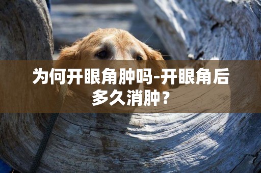 為何開眼角腫嗎-開眼角后多久消腫？