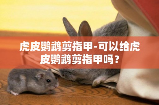 虎皮鸚鵡剪指甲-可以給虎皮鸚鵡剪指甲嗎？