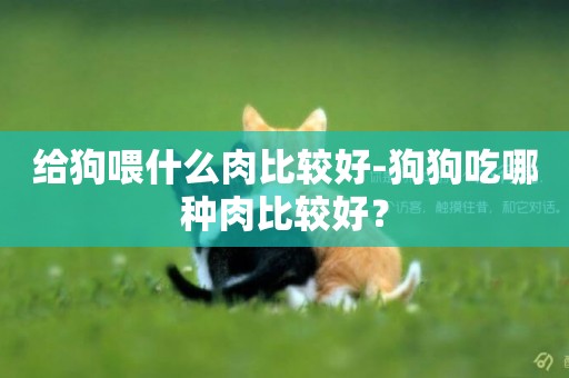 給狗喂什么肉比較好-狗狗吃哪種肉比較好？