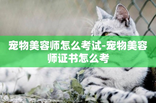寵物美容師怎么考試-寵物美容師證書怎么考