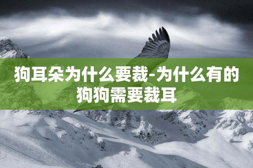 狗耳朵為什么要裁-為什么有的狗狗需要裁耳