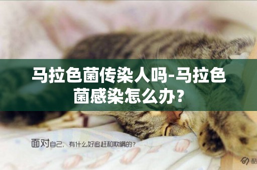 馬拉色菌傳染人嗎-馬拉色菌感染怎么辦？