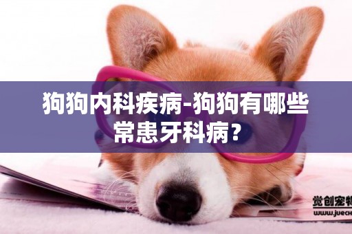 狗狗內科疾病-狗狗有哪些常患牙科病？