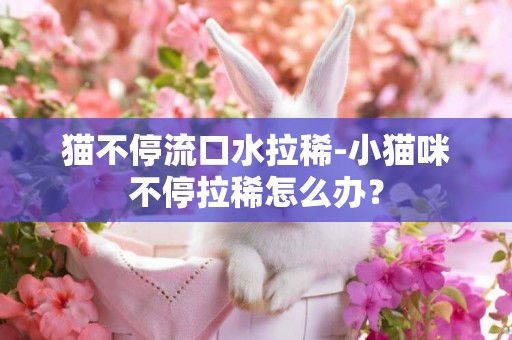 貓不停流口水拉稀-小貓咪不停拉稀怎么辦？