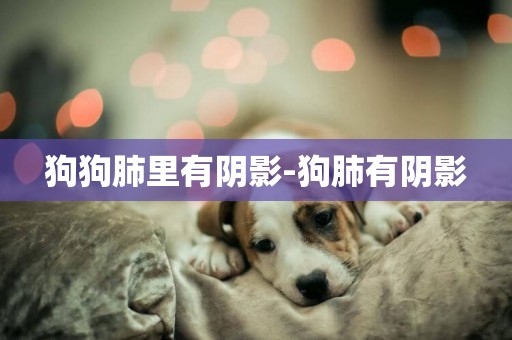 狗狗肺里有陰影-狗肺有陰影