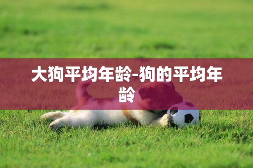 大狗平均年齡-狗的平均年齡