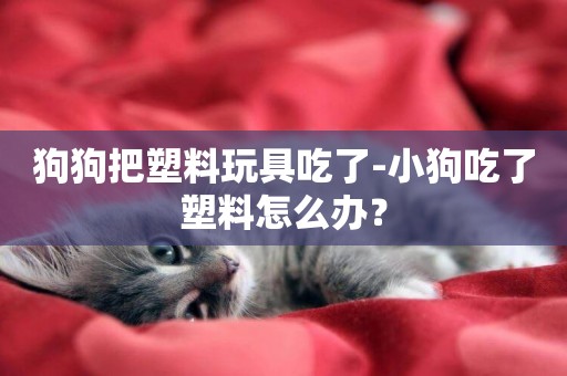 狗狗把塑料玩具吃了-小狗吃了塑料怎么辦？