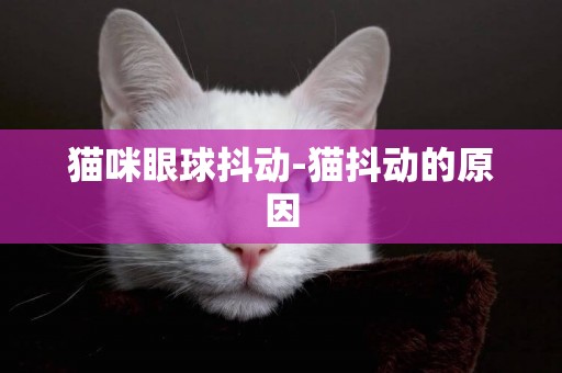 貓咪眼球抖動-貓抖動的原因