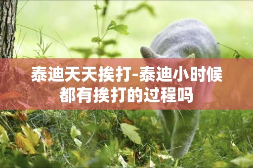 泰迪天天挨打-泰迪小時候都有挨打的過程嗎