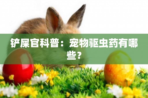 鏟屎官科普：寵物驅蟲藥有哪些？