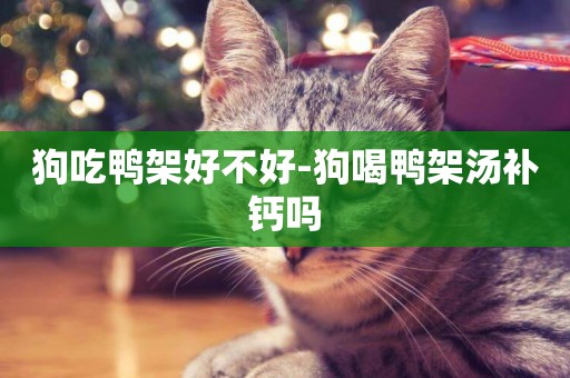 狗吃鴨架好不好-狗喝鴨架湯補鈣嗎