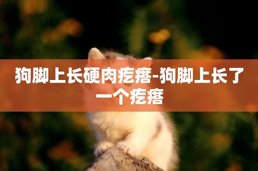 狗腳上長硬肉疙瘩-狗腳上長了一個疙瘩