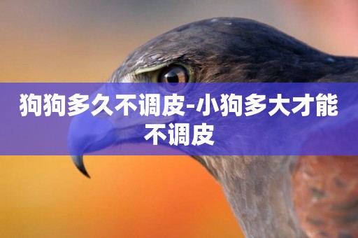 狗狗多久不調皮-小狗多大才能不調皮