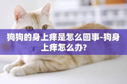 狗狗的身上癢是怎么回事-狗身上癢怎么辦?