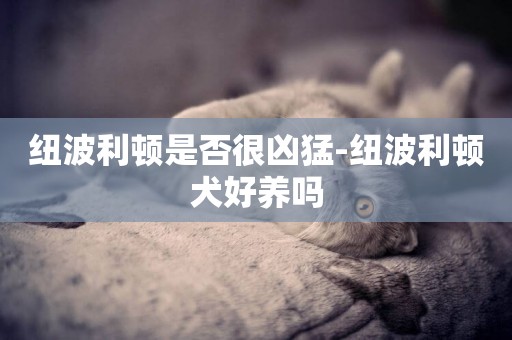 紐波利頓是否很兇猛-紐波利頓犬好養嗎