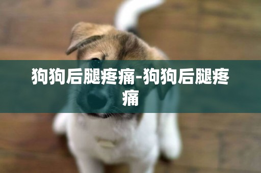 狗狗后腿疼痛-狗狗后腿疼痛