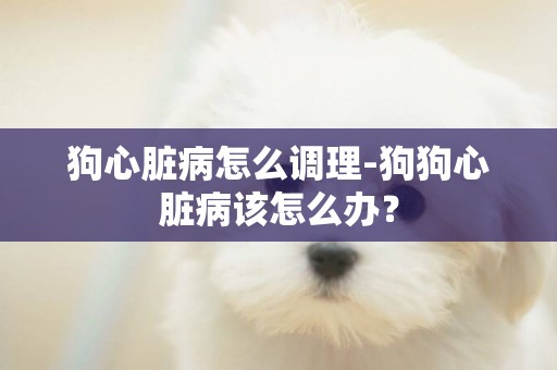 狗心臟病怎么調理-狗狗心臟病該怎么辦？