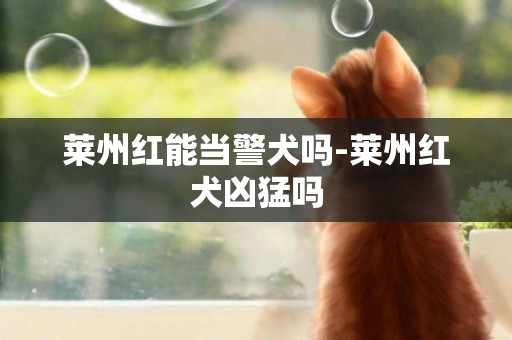 萊州紅能當警犬嗎-萊州紅犬兇猛嗎