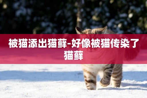 被貓添出貓蘚-好像被貓傳染了貓蘚