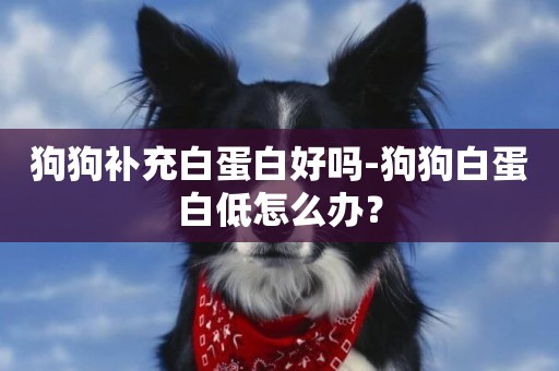 狗狗補充白蛋白好嗎-狗狗白蛋白低怎么辦？