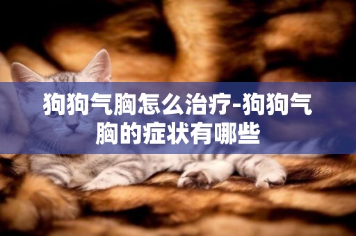 狗狗氣胸怎么治療-狗狗氣胸的癥狀有哪些