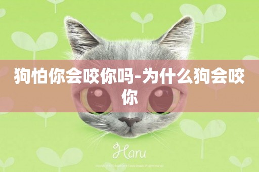 狗怕你會咬你嗎-為什么狗會咬你