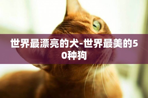 世界最漂亮的犬-世界最美的50種狗