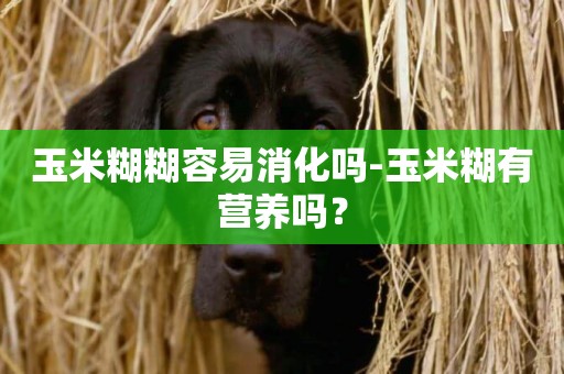 玉米糊糊容易消化嗎-玉米糊有營養嗎？