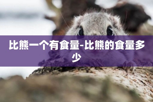 比熊一個有食量-比熊的食量多少
