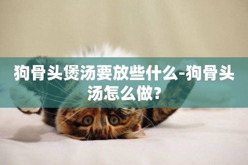 狗骨頭煲湯要放些什么-狗骨頭湯怎么做？