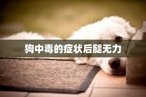 狗中毒的癥狀后腿無力