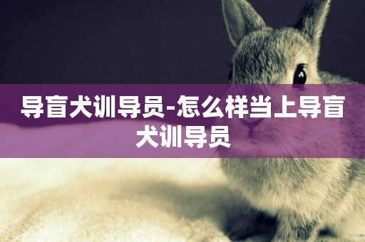 導盲犬訓導員-怎么樣當上導盲犬訓導員