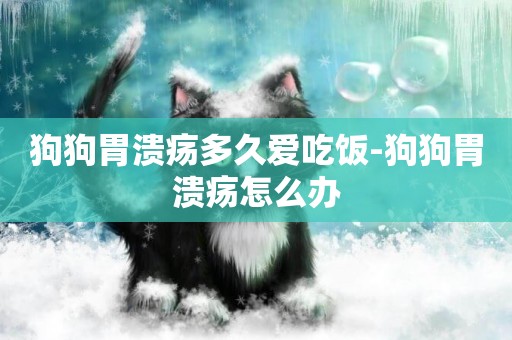 狗狗胃潰瘍多久愛吃飯-狗狗胃潰瘍怎么辦