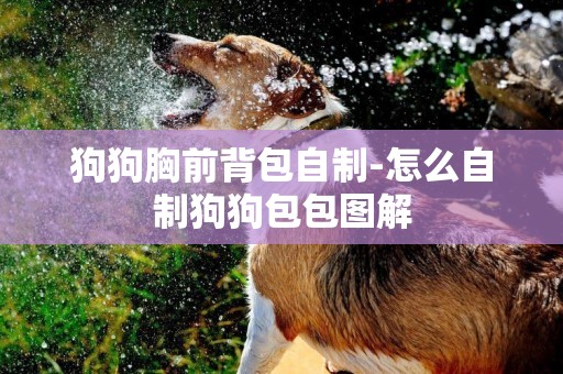 狗狗胸前背包自制-怎么自制狗狗包包圖解