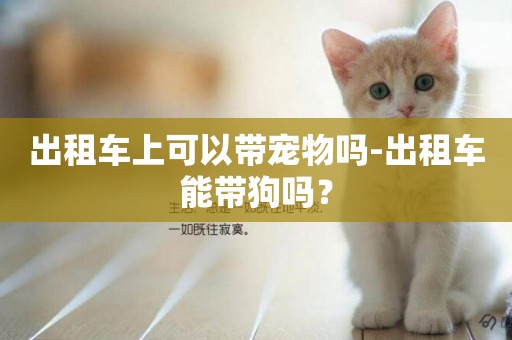 出租車上可以帶寵物嗎-出租車能帶狗嗎？