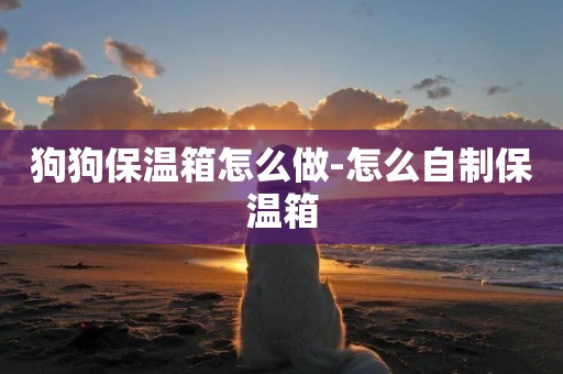 狗狗保溫箱怎么做-怎么自制保溫箱