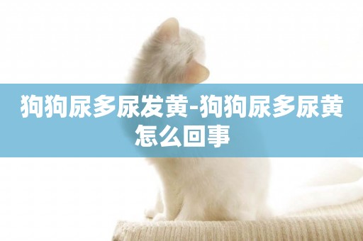 狗狗尿多尿發黃-狗狗尿多尿黃怎么回事