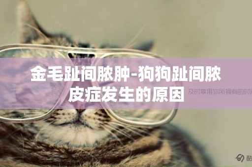 金毛趾間膿腫-狗狗趾間膿皮癥發生的原因