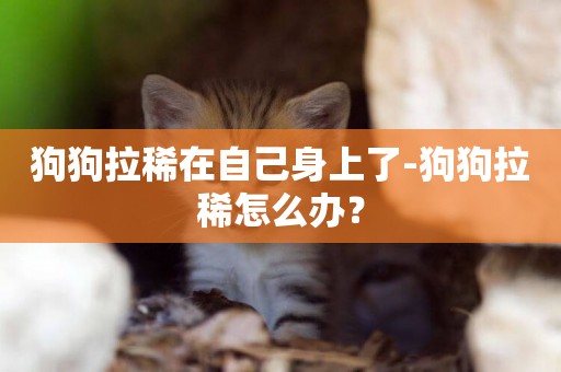 狗狗拉稀在自己身上了-狗狗拉稀怎么辦？