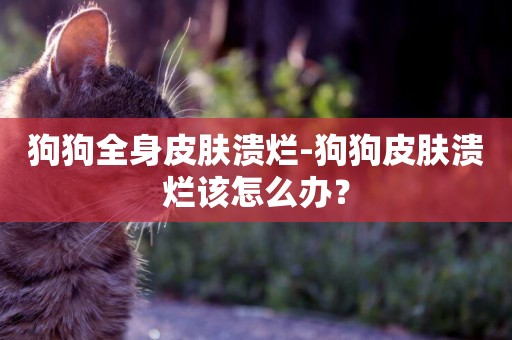 狗狗全身皮膚潰爛-狗狗皮膚潰爛該怎么辦？
