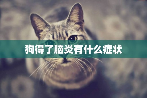 狗得了腦炎有什么癥狀