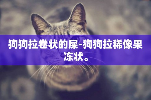 狗狗拉卷狀的屎-狗狗拉稀像果凍狀。