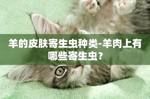 羊的皮膚寄生蟲種類-羊肉上有哪些寄生蟲？