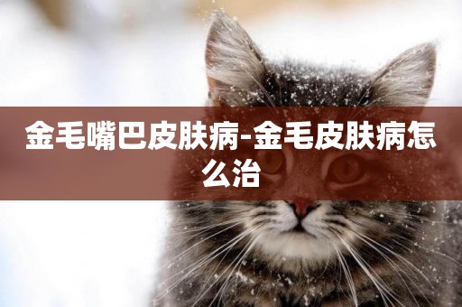 金毛嘴巴皮膚病-金毛皮膚病怎么治