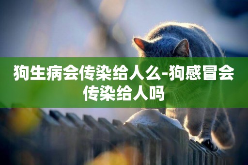 狗生病會傳染給人么-狗感冒會傳染給人嗎