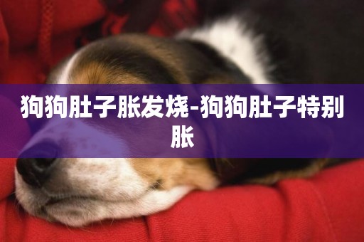 狗狗肚子脹發燒-狗狗肚子特別脹