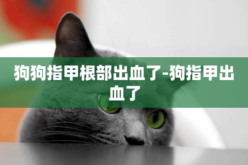 狗狗指甲根部出血了-狗指甲出血了
