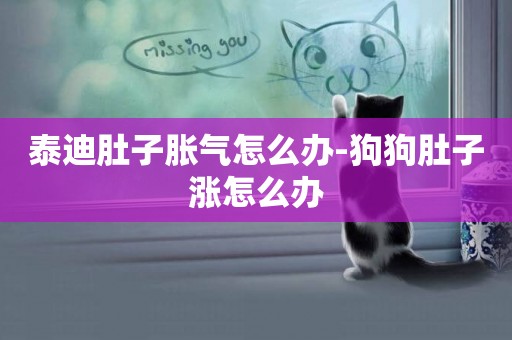 泰迪肚子脹氣怎么辦-狗狗肚子漲怎么辦