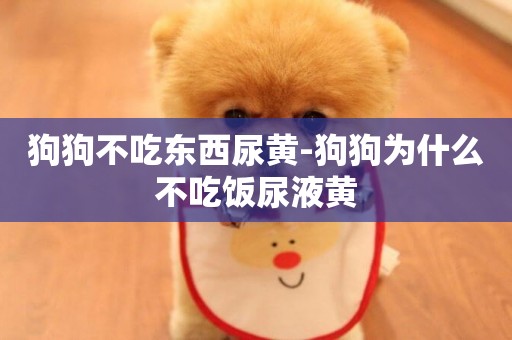 狗狗不吃東西尿黃-狗狗為什么不吃飯尿液黃