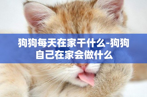 狗狗每天在家干什么-狗狗自己在家會做什么